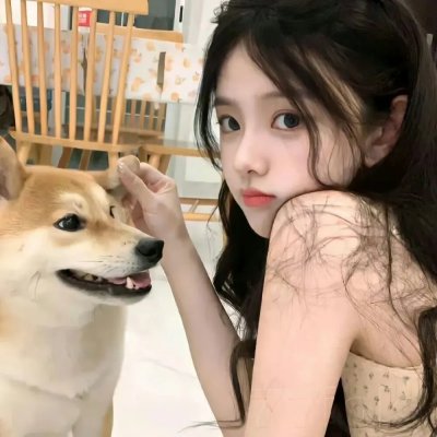 家政夫三田园4 海报